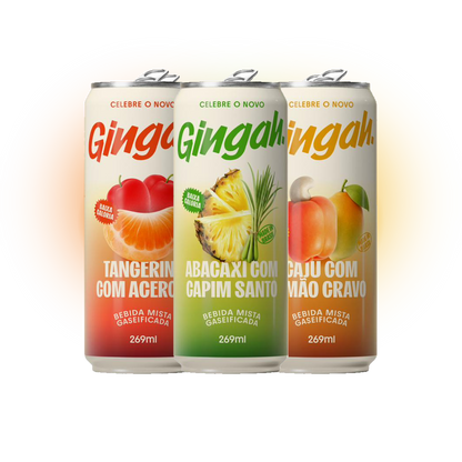Pack Gingah - 2 unidades de cada sabor